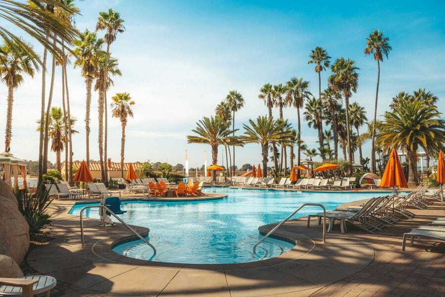 The hotel's outdoor pool with palm trees